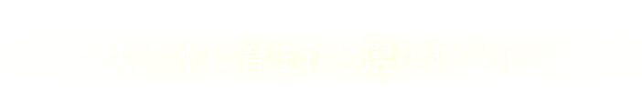 新潟栃尾の棚田天水米